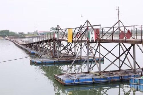 Cầu dân sinh tại Quảng Trị tạm dừng hoạt động, người dân đi lại khó khăn