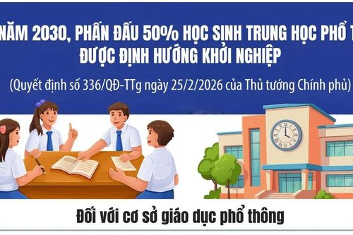 Đến năm 2030, phấn đấu 50% học sinh THPT được định hướng khởi nghiệp