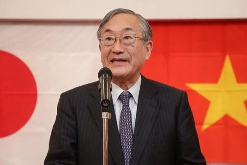 Nhà khoa học nước ngoài 'Made in Vietnam'