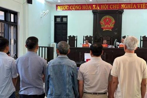 5 cán bộ liên quan đến vụ sai phạm tận thu rừng cháy ở Huế bị tuyên án tù