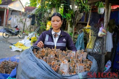 Quế Trà Bồng rớt giá ngay trong mùa khai thác chính