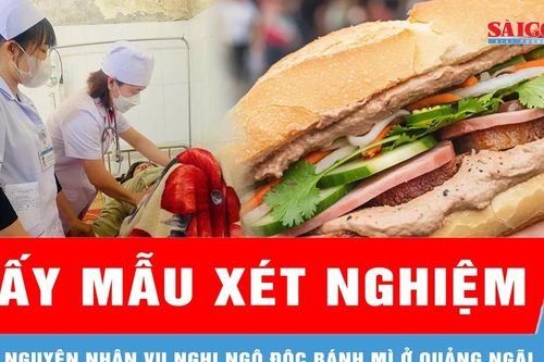 Lấy mẫu, xác minh nguyên nhân vụ nghi ngộ độc bánh mì ở Quảng Ngãi