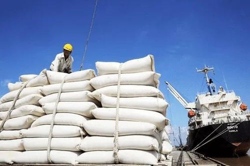 Gạo Việt Nam tăng mạnh thị phần tại Senegal