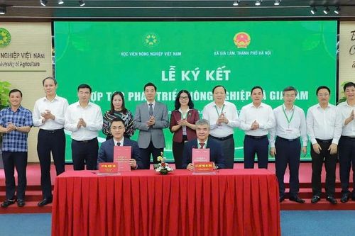 Gắn đào tạo và khoa học công nghệ với phát triển nông nghiệp địa phương