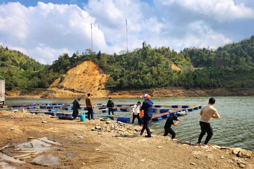 Tiến hành tháo dỡ lồng bè trên hồ Séo Mý Tỷ