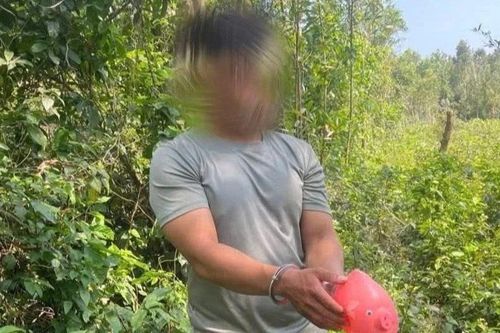 Siêu trộm ở Quảng Ngãi sa lưới