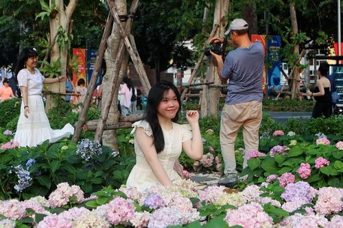 Vườn hoa cẩm tú cầu ở TPHCM ngỡ như Đà Lạt 'gây sốt' giới trẻ