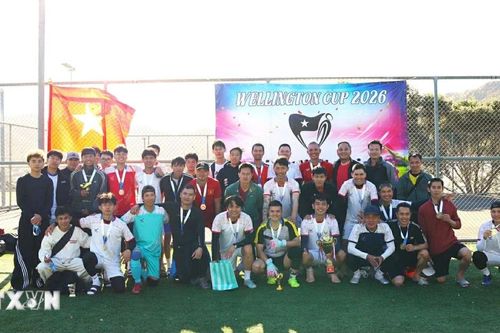 Wellington Cup 2026 gắn kết cộng đồng người Việt tại New Zealand
