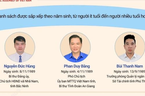 33 người dưới 40 tuổi trúng cử đại biểu Quốc hội khóa XVI