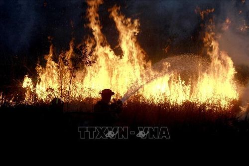 Cháy rừng dữ dội tại Thái Lan