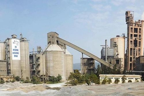Vicem Hoàng Mai đặt mục tiêu lãi tăng 17% năm 2026 dù áp lực ngành gia tăng