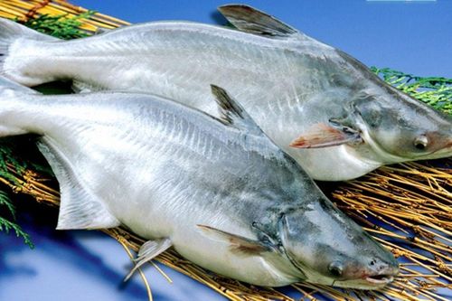4 loại cá được thế giới đánh giá 'tốt nhất Việt Nam', ngoài chợ bán đầy với mức giá rẻ bèo