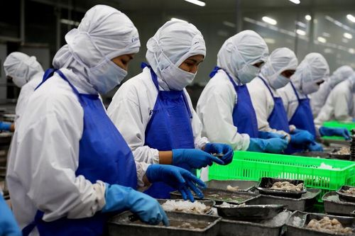 EU siết tiêu chuẩn bao bì: Doanh nghiệp đối mặt áp lực chuyển đổi