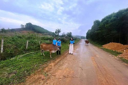 Vượt khó, trở thành hội viên nòng cốt