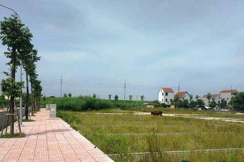 Đấu giá đất vùng ven Hà Nội 'hạ nhiệt', mức trúng cao nhất vượt 61 triệu đồng/m2