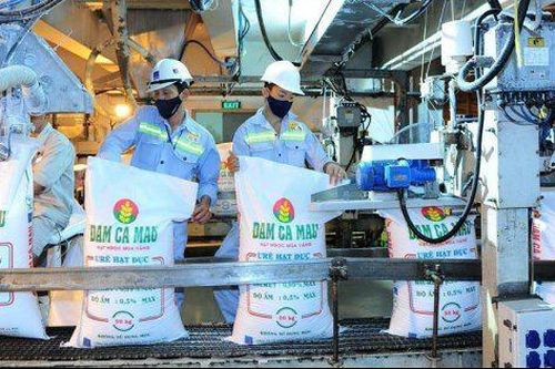 Chứng khoán SHS: Đạm Cà Mau, Đạm Phú Mỹ và Vinachem sẽ đón chu kỳ tăng mới của ngành phân bón