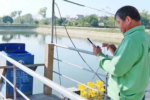 Quản trị chăn nuôi thông minh cùng công nghệ số