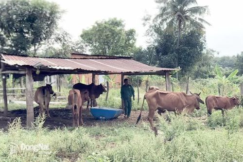 Ðất nông nghiệp sử dụng kết hợp đa mục đích