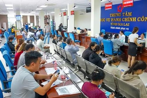 Phân công nhiệm vụ thành viên Ban Chỉ đạo Điều tra cơ sở HCSN tỉnh Gia Lai năm 2026