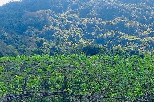 Điều tra vụ phát hiện thi thể nổi trên mặt hồ ở xã Phù Mỹ Tây