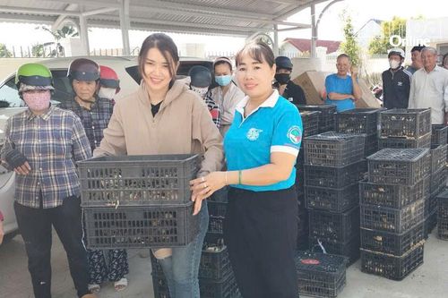 Rà soát hộ nghèo để xây dựng đề án hỗ trợ sinh kế