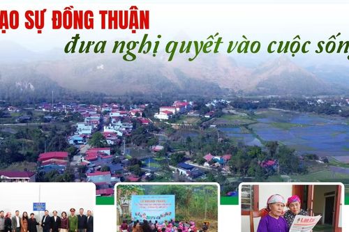 Tăng đồng thuận, đưa nghị quyết vào cuộc sống