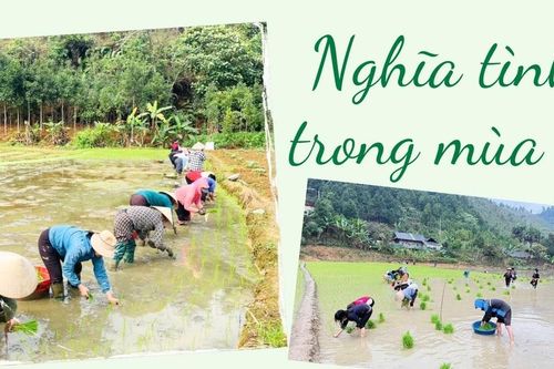 Nghĩa tình trong mùa vụ