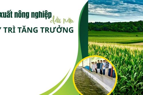 Sản xuất nông nghiệp đầu năm duy trì tăng trưởng