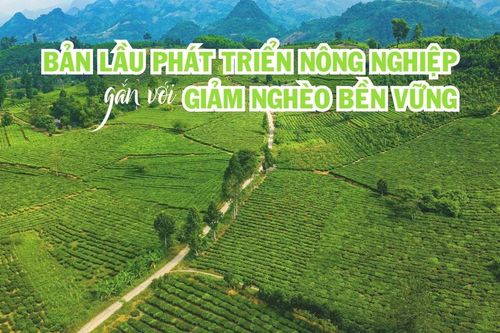 Bản Lầu phát triển nông nghiệp gắn với giảm nghèo bền vững
