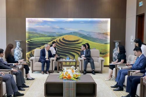 Chủ tịch UBND tỉnh Nguyễn Tuấn Anh tiếp Đoàn công tác Công ty TNHH Viện nghiên cứu Trang Nghiêm (Trung Quốc)