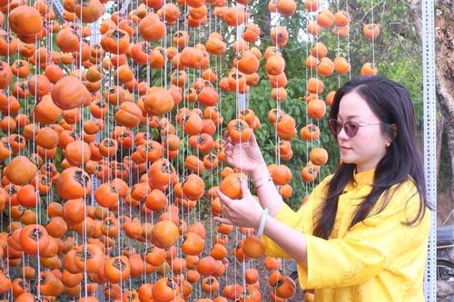 Hợp tác xã số - yêu cầu tất yếu