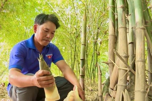 Những đảng viên DTTS tiên phong làm kinh tế