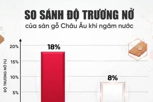 Sàn gỗ Đức có tốt không? Chọn sao cho đúng