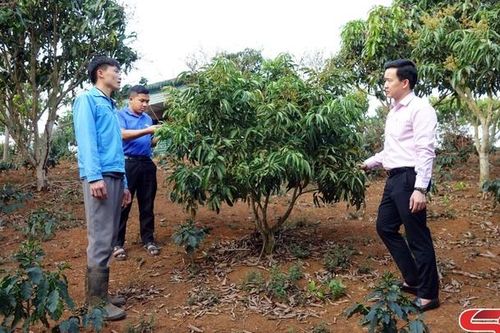 Khơi nguồn lực - tiếp sức người nghèo vươn lên