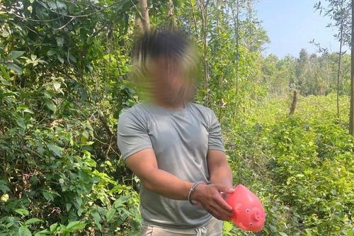 Bắt siêu trộm 20 ngày đột nhập loạt nhà dân lấy hàng trăm triệu
