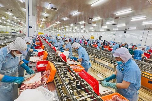Quy định mới về bao bì và rác thải bao bì của EU các doanh nghiệp xuất khẩu thủy sản cần nắm rõ