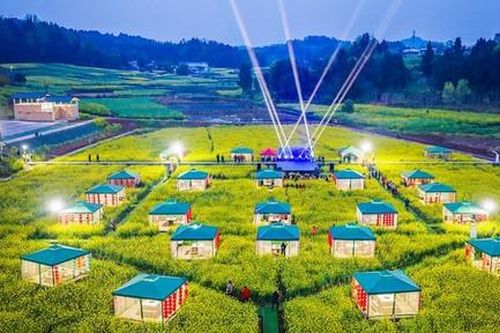 Thưởng thức 'lẩu hoa điền' giữa những cánh đồng hoa cải dầu ở Tứ Xuyên