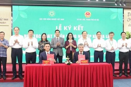 Học viện Nông nghiệp Việt Nam hợp tác phát triển nông nghiệp với xã Gia Lâm