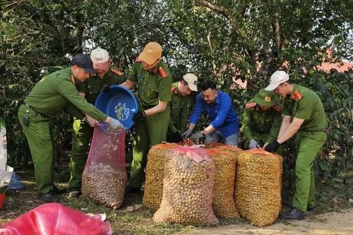 Mưa giông, mưa đá gây thiệt hại nặng tại các địa phương