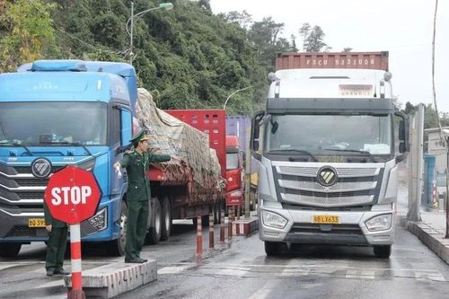 Kéo dài thời gian tạm ngưng hiệu lực Nghị định 46 và Nghị quyết 66.13 về an toàn thực phẩm