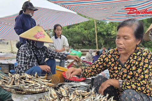 Nghệ An: Món cá trích nướng ăn ngay tại bờ biển 'gây sốt' mạng xã hội