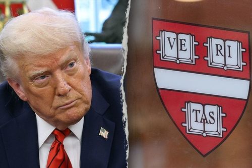 Đại học Harvard lại khổ sở vì ông Trump