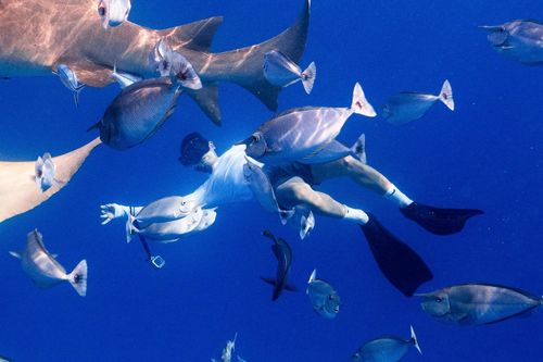 Không biết bơi có thể lặn biển không?