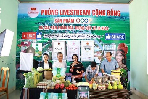 Gia Lai: Livestream bán nông sản gây Quỹ khuyến học