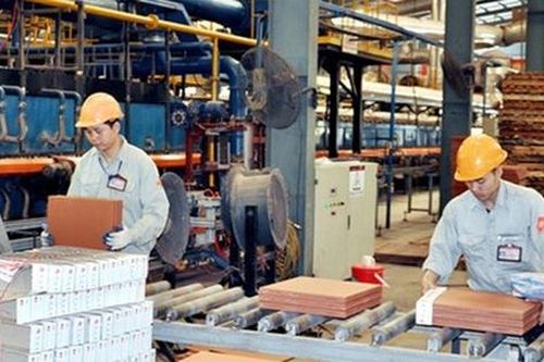 Sớm hoàn thiện chính sách, pháp luật và cơ chế thực thi hiệu quả để cá nhân, hộ kinh doanh phát triển thành doanh nghiệp nhỏ và vừa