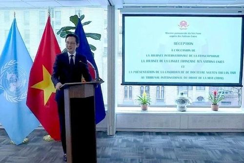 Việt Nam tích cực đóng góp củng cố hợp tác, đoàn kết trong cộng đồng Pháp ngữ