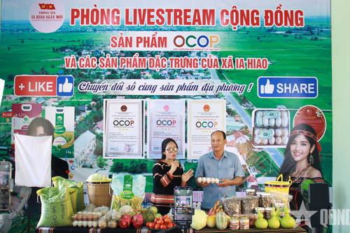 Gia Lai: Livestream bán nông sản, gây quỹ hỗ trợ 1.000 học sinh