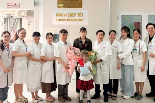 Hồi sinh từ tủy chị gái