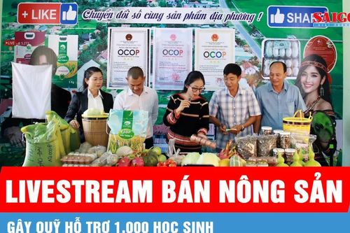 Gia Lai: Livestream bán nông sản, gây quỹ hỗ trợ 1.000 học sinh