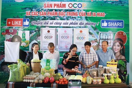 Gia Lai: Livestream bán nông sản, gây quỹ hỗ trợ 1.000 học sinh